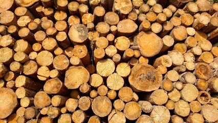 Stack of cut firewood — close-up showing texture and growth rings with warm tones. Ideal as a...