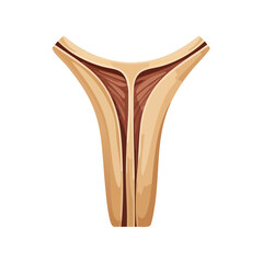 Cartoon T-bone steak illustration meat cut grilled beef cooking dinner vector food butcher shop delicious protein meal barbeque