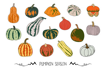 Hand drawn pumpkins, gourds, and squash in colorful variety. Autumn harvest illustration perfect for fall, Thanksgiving, seasonal design, packaging, invitations, and rustic decor.