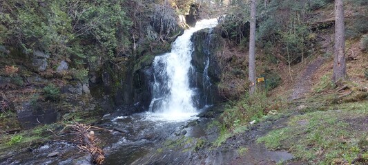 waterfall in the forest