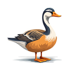 Standing Duck Bird Vector Illustration Waterfowl Wildlife Animal Isolated Black Background