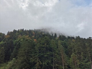 2025 - Lac de Gaube / Pont d´Espagne - Cauterets