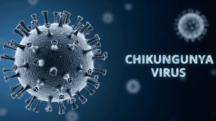 A microscopic 3d visualization of the chikungunya virus cell on a blue background, a medical concept representing virology, infectious disease research and global health - Powered by Adobe