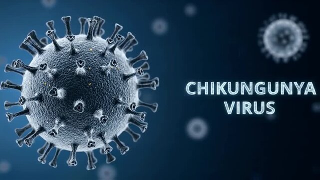 A microscopic 3d visualization of the chikungunya virus cell on a blue background, a medical concept representing virology, infectious disease research and global health