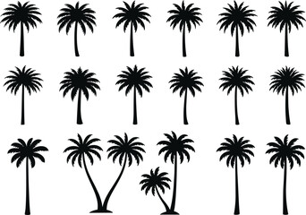 Palm tree silhouette collection, tropical plants vector, black and white palm clipart, nature foliage icons, beach trees illustration, exotic trees set