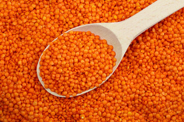 Red lentils and a large wooden spoon. The lentils have a beautiful rich color.