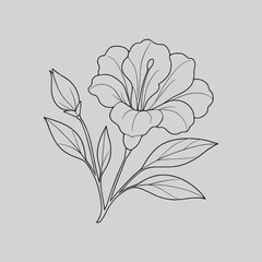Lisianthus Beautiful Flower Line Art Drawing