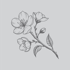 Lisianthus Creative Floral Line Art Printable