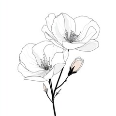 Elegant white flowers with delicate lines and soft shading create a tranquil and serene visual composition.