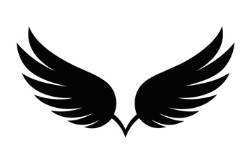 Obraz premium angel wings, Wings collection with feathers, Black white vector illustration, Tattoo.