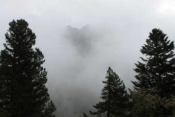 2025 - Lac de Gaube / Pont d´Espagne - Cauterets