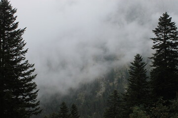 2025 - Lac de Gaube / Pont d´Espagne - Cauterets