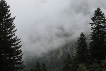 2025 - Lac de Gaube / Pont d´Espagne - Cauterets