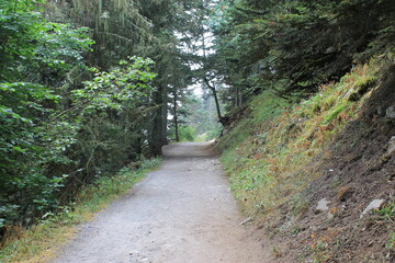 2025 - Lac de Gaube / Pont d´Espagne - Cauterets