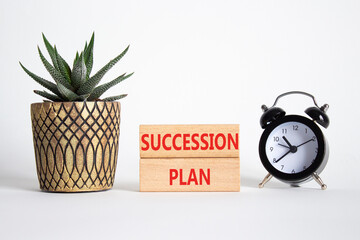 Succession Plan symbol. Wooden blocks with words Succession Plan. Beautiful blue background with...