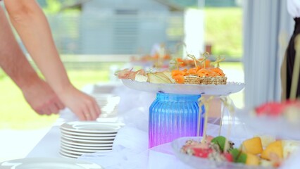 Professional server preparing gourmet appetizers, arranging canapes, fruit skewers, and salmon...