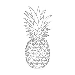 Obraz premium Line Art Drawing of a Pineapple