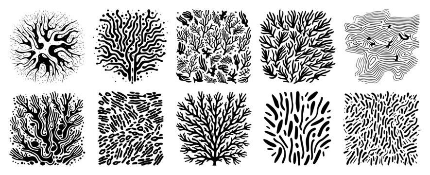 Collection of abstract organic nature patterns and textures