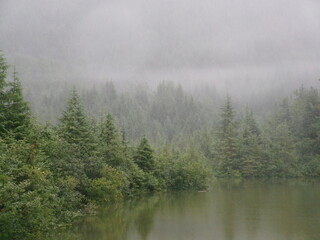 misty morning in the forest with lake
