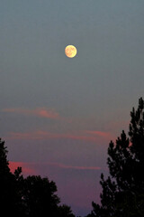 Full mopon in red clouds at dusk. 