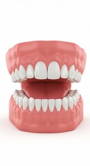 Obraz premium Close up studio shot of a realistic set of human dentures or false teeth against a white background
