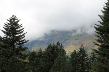2025 - Lac de Gaube / Pont d´Espagne - Cauterets