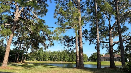 Park surrounded by lake and trees