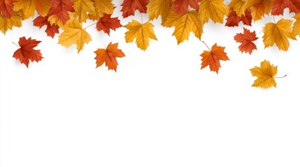 Red and yellow maple leaves scattered across a white background border