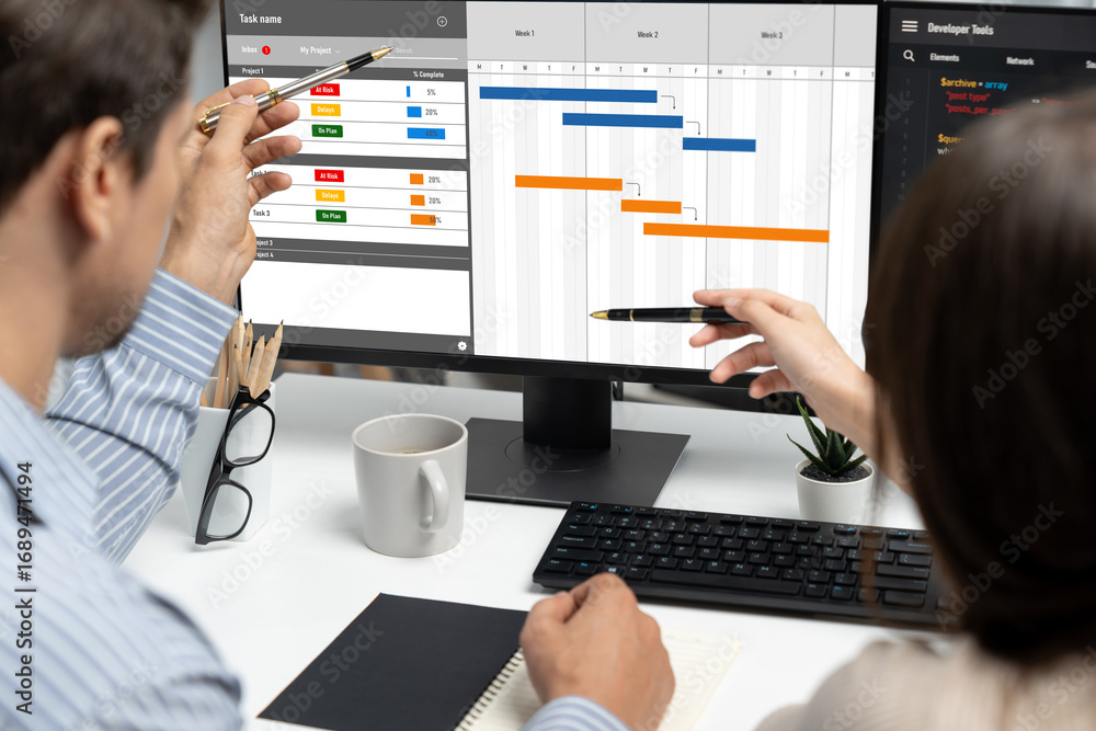 Poster project planning software for brisk business project management on the computer screen showing timel