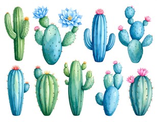 Watercolor cacti with flowers