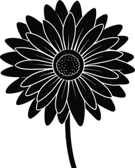 Abstract dynamic swirls of light and shadow create an energetic textured visual transparent background