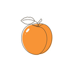 Single Ripe Orange Apricot Illustration