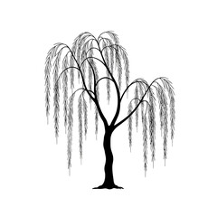 Weeping Willow Tree Silhouette Illustration