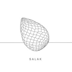 Wireframe Salak Fruit Illustration on White Background