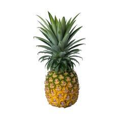 Fototapeta premium Ripe pineapple with green spiky leaves fruit tropical