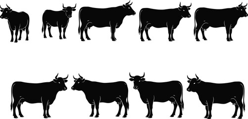 Cow silhouette, standing cattle, farm animals vector, bull illustration, black livestock graphic, domestic animal, grazing cow, rural art
