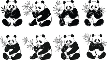 Panda bear vector illustration, black white bamboo eating animal, cute wildlife art, cartoon style bear clipart, nature design, animal icons © Vector Sifat