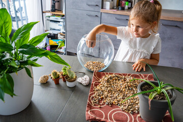 Little girl pouring stones into glass container to create drainage for future florarium or closed...