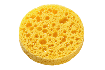 Close-up of a round yellow sponge, showing its porous texture