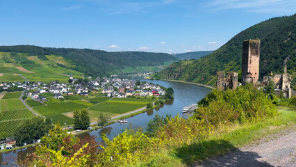 Wine region of the Mosel Valley. Wine tourism Cochem, Rhineland-Palatinate, Germany August 2, 2025