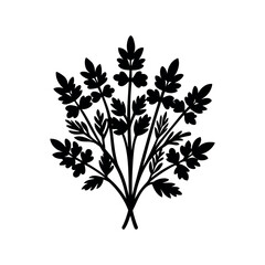 Stylized vector graphic of a leafy parsley like plant in black color