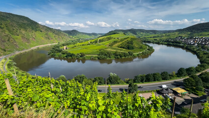 Wine region of the Mosel Valley. Wine tourism Cochem, Rhineland-Palatinate, Germany August 2, 2025