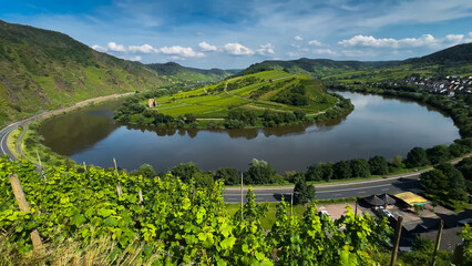 Wine region of the Mosel Valley. Wine tourism Cochem, Rhineland-Palatinate, Germany August 2, 2025