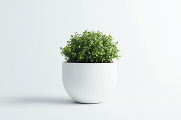 plant pot product mockup on white background, clean minimal studio lighting, realistic, high resolution