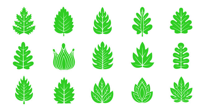 Green Leaf Vector Icons Set Nature, Botany, Ecology, Spring, Foliage, Plants, Vectore Illustration 