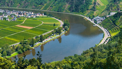 Wine region of the Mosel Valley. Wine tourism Cochem, Rhineland-Palatinate, Germany August 2, 2025