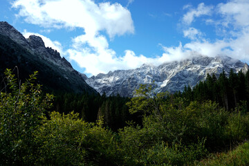 Snowy mountain peaks rising above dense evergreen forest and green shrubs under bright blue sky with drifting clouds.