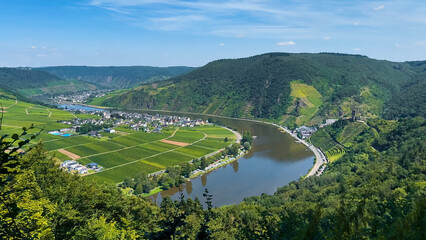 Wine region of the Mosel Valley. Wine tourism Cochem, Rhineland-Palatinate, Germany August 2, 2025