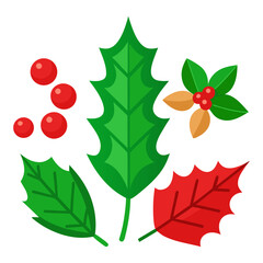 Obraz premium Christmas holly leaves and berries vector illustration