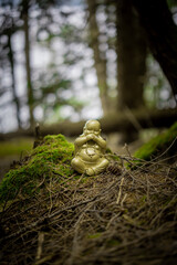 Laughing gold budha in the forest